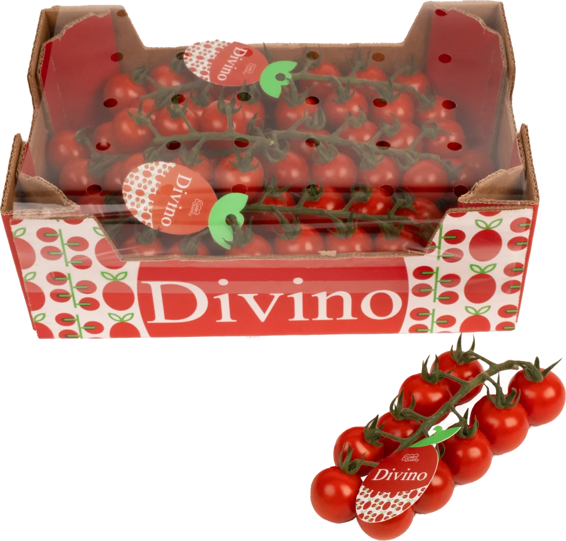 Divino Caja con cubierta 1,5 kg