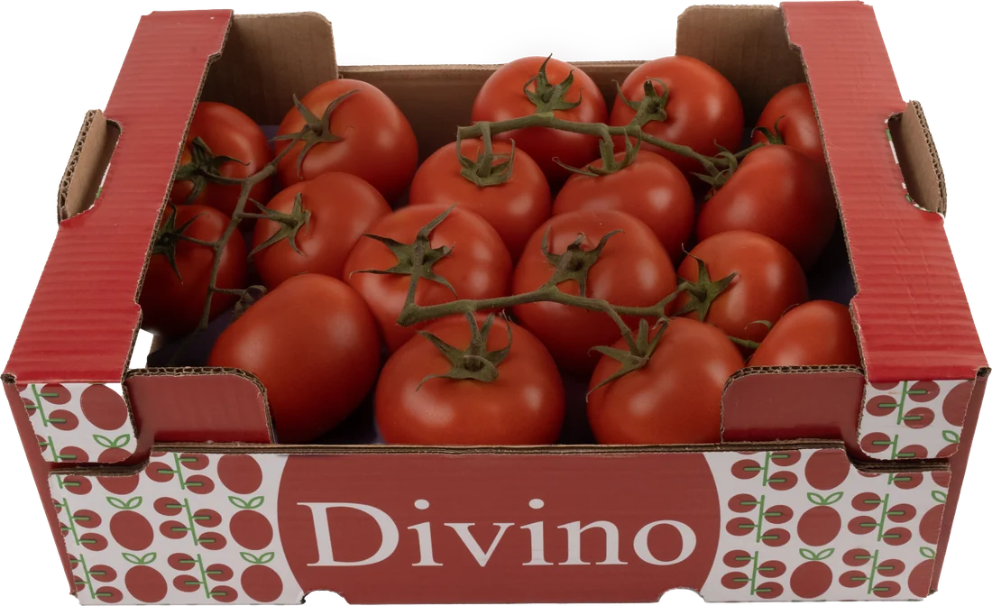 Divino Caja 6 kg