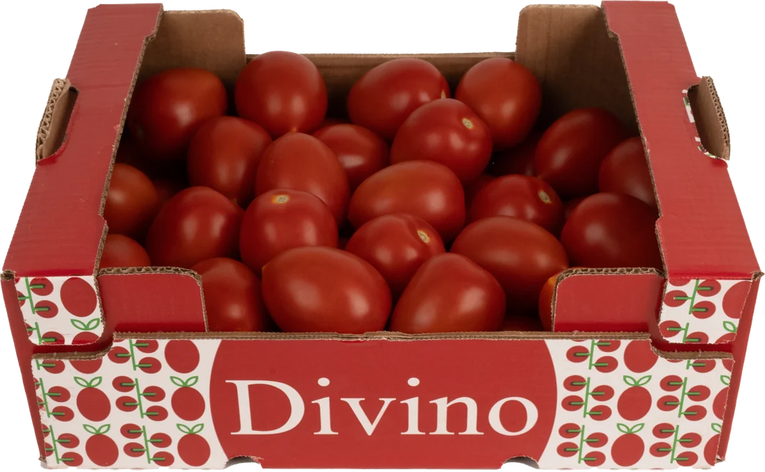 Divino Caja 6 kg