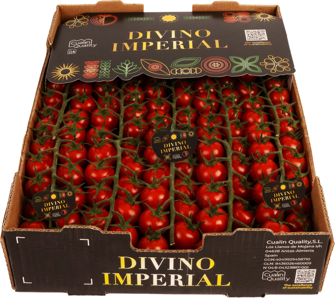 Divino Imperial Caja 3 kg