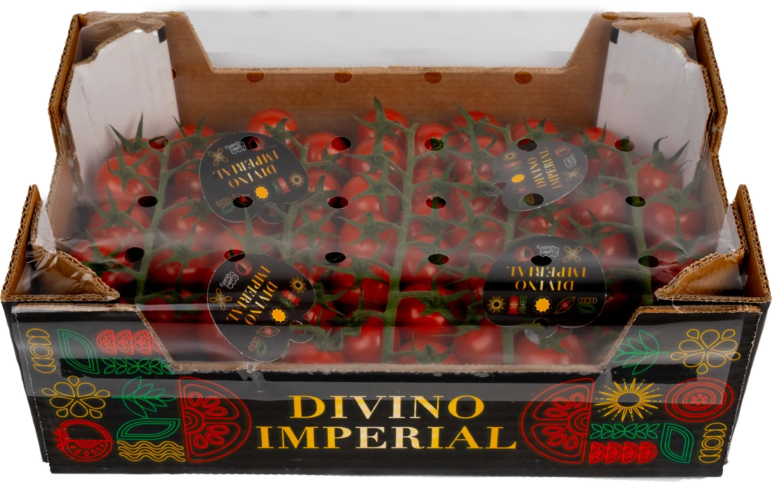 Divino Imperial Caja con cubierta 1,5 kg