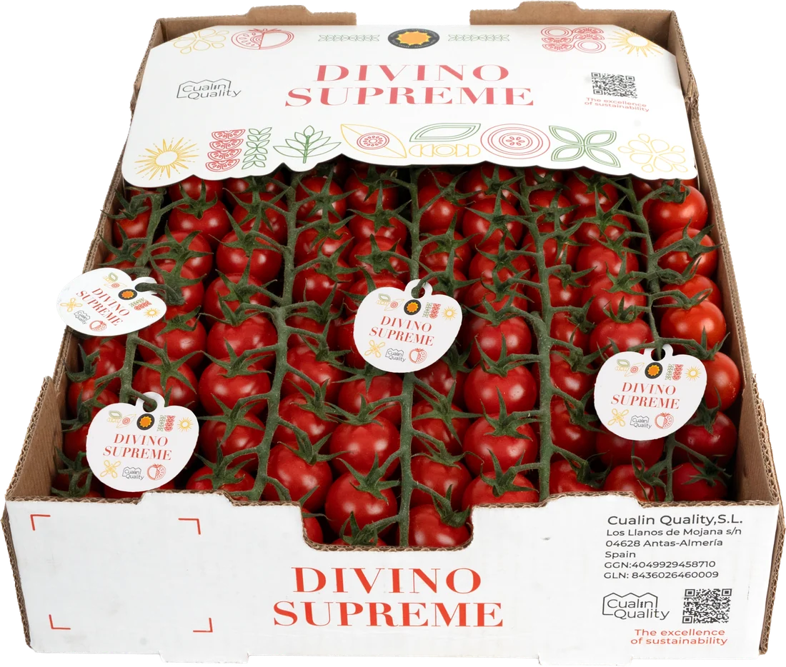 Divino Supreme Caja 3 kg