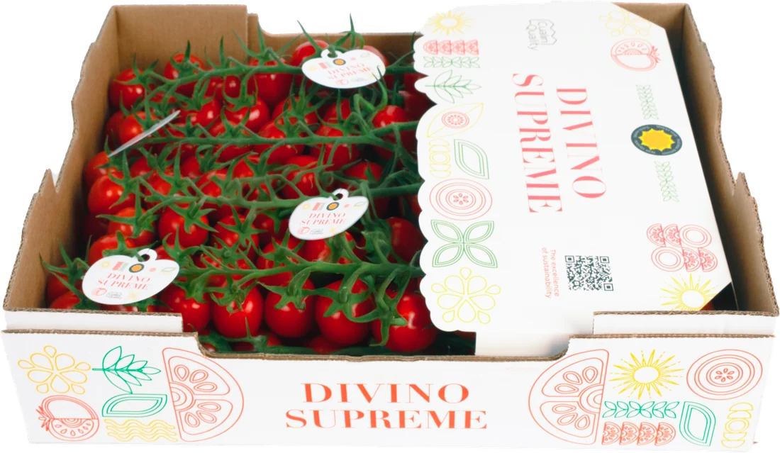 Divino Supreme