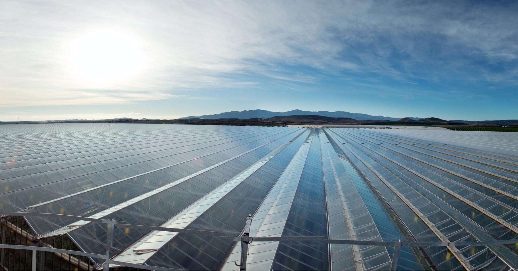 Cualin Quality apuesta por los invernaderos de cristal para reducir su huella hídrica